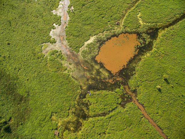 Aerial view looking down on a brown pond surrounded by green vegetation with streams and channels criss-crossing it.