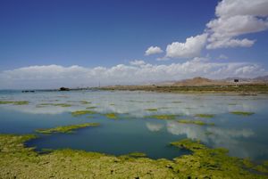Wetlands with low hills in the background.