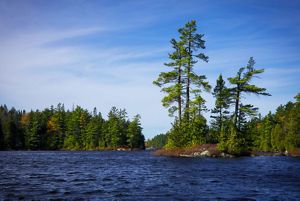 Tall, green trees grow along the edge of a calm lake at Wilderness Lakes Reserve. The sky is bright blue and full of wispy, white clouds. 