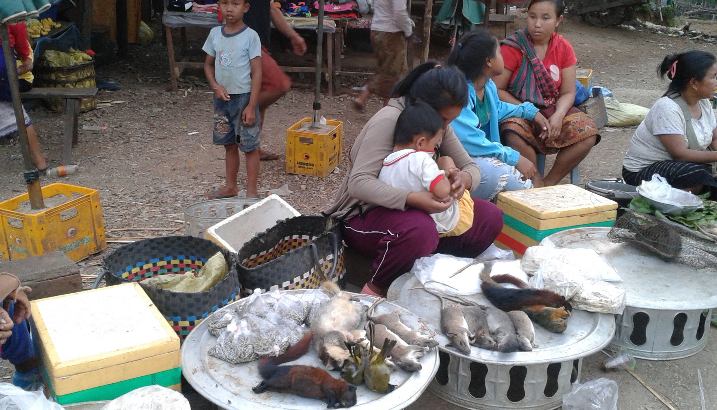 Wildlife meat market in Laos
