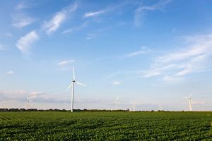 Wind turbines tower above a farm field in Indiana.