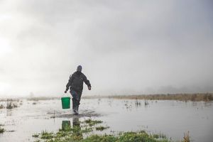 A person in rain gear carries a green bucket across a wetland.