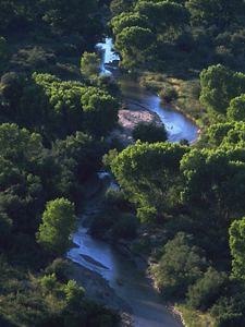 Aerial view of a windy, blue river, lined with big, green trees. 