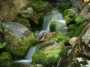 A misty waterfall over rounded, mossy boulders. at Tiltill Creek on the path to Rancheria Falls at Hetch Hetchy Reservoir located inside Yosemite National Park. Sierra Nevada, California.