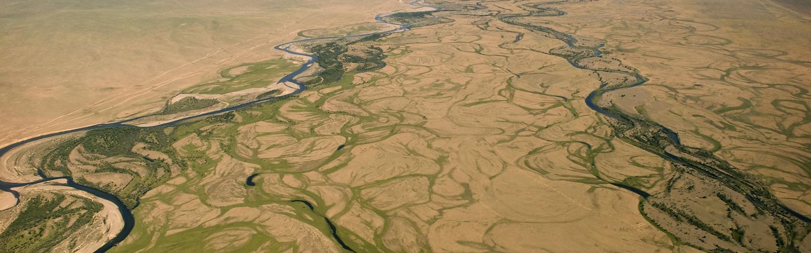 aerial view of brown and green grassland with meandering rivers