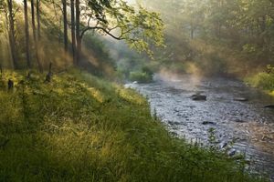 Photo of a river in early-morning fog.