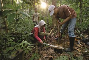 Three people take measurements in a forest.