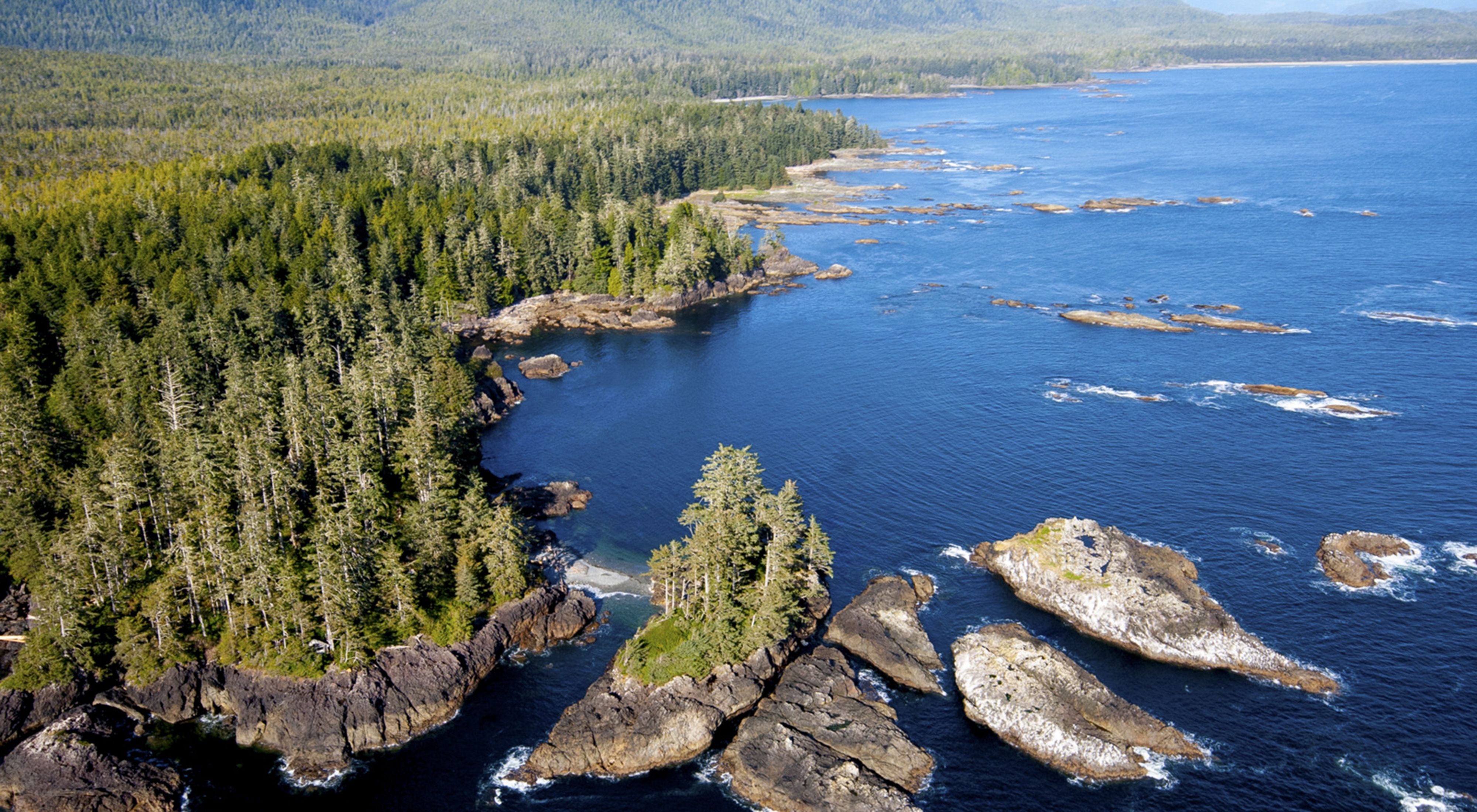 Aerial view of Clayoquot Sound surrounded by forest.