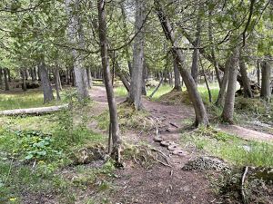 /content/dam/tnc/nature/en/photos/w/o/Woollam_BushBay_Narnia.jpeg