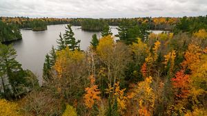 Aerial view of forest around large lake with fall colors.