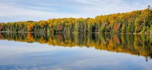 Trees line the placid blue water of a lake, their leaves bright with autumn oranges, yellows, and reds, which are reflected in the water below.
