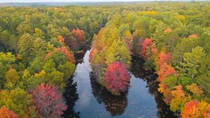 Aerial view of a lake with trees in green and fall foliage all around it. 
