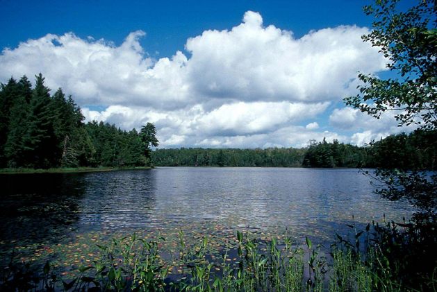 A still lake with trees along the horizon. 