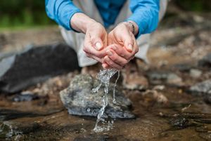 Woman's hands scooping water from a stream.