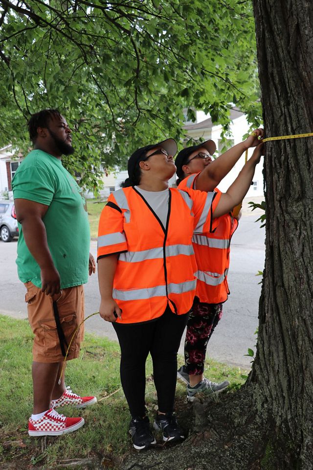 Two young people measure a tree.
