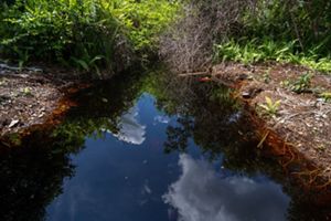 It is a canal in the peatland ecosystem. Photo Taken  2022-05-31