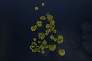 Muara Siran