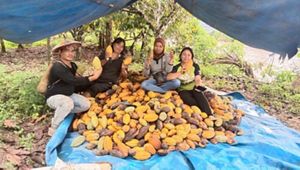 Irmaya Banaweng and The Merasa Village Internal Control System (ICS) Pesete Tawai Kakao group have always been loyal to working together for the economic welfare of their community and nature conservation.

