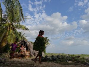 Budi daya rumput laut merupakan salah satu mata pencaharian utama penduduk Desa Oelolot sejak tahun 1999.