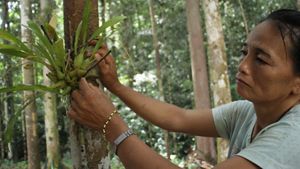 Hutan Wungun memenuhi kebutuhan raga maupun jiwa masyarakat Dayak Mapnan Long Duhung. Kekayaan alamnya memberikan sumber penghidupan sekaligus apotek hidup.