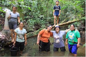 Ketika para bapak Dayak Mapnan Long Duhung sedang bergiliran melakukan patroli hutan, para ibu menangkap ikan di Sungai Blu’ Enyiu, salah satu sungai di Hutan Wungun, untuk bahan makan siang bersama.