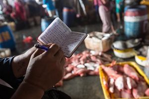 Pendataan ikan