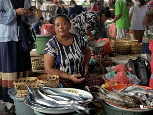 A woman stands amidst several buckets of fish that she is selling in an outdoor market.