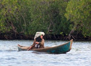 Mangrove Desa Tampara