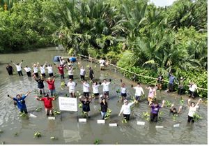 Mangrove Planting