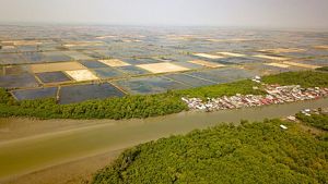 Desa Sungai Lumpur, desa terpadat di sepanjang pesisir Kab. OKI. Permukiman penduduk di desa ini dikelilingi oleh hutan mangrove, tambak, dan muara sungai.
