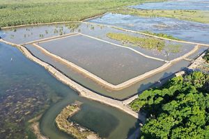 Tambak SECURE di Kampung Pegat Batumbuk, Kecamatan Pulau Derawan, Kabupaten Berau, Provinsi Kalimantan Timur