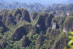 Puncak Ketepu