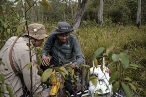 peatland science