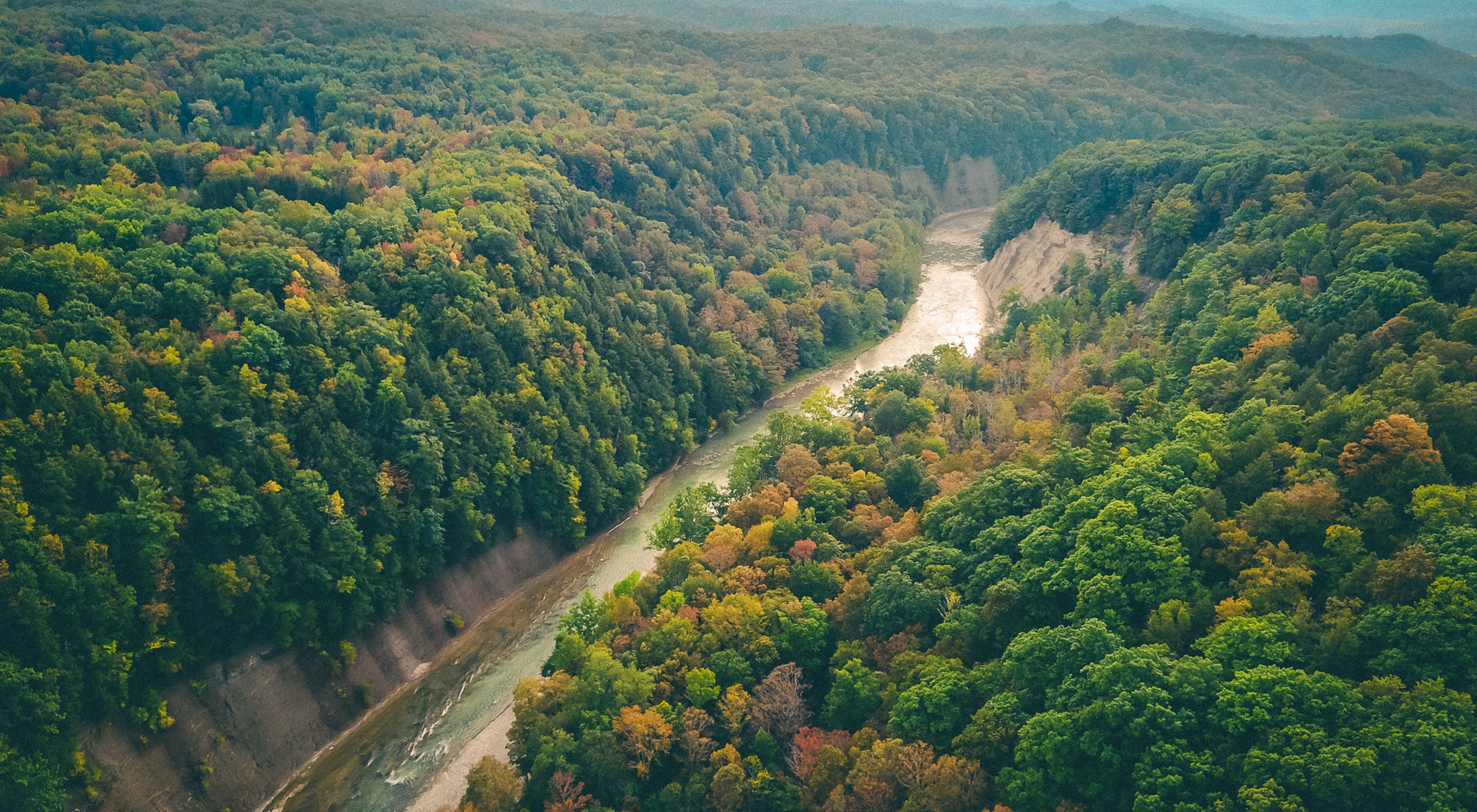 An aerial view of Zoar Valley forests and a river.