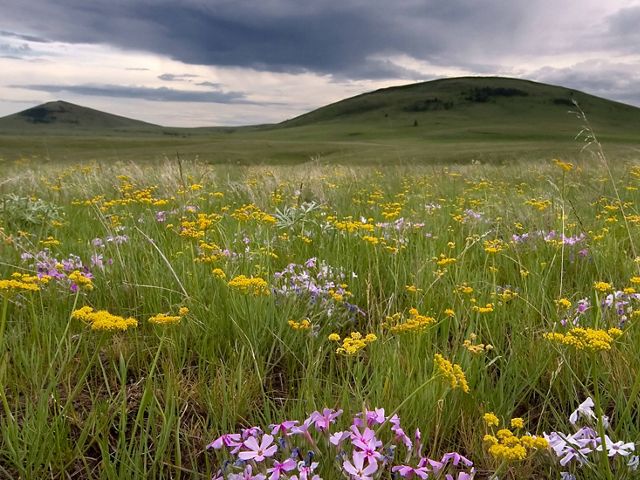 Zumwalt Prairie Preserve